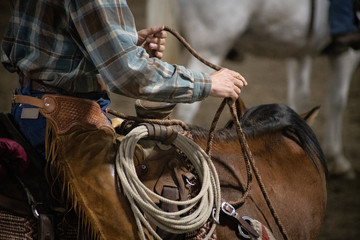 Reining practice