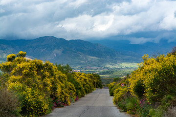Obraz premium Scenic small mountain road with colorful wild flowers between villages in central part of Sicily island, Italy