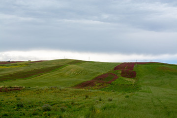 Fototapeta premium Landscape with pastures and wheat fields, Sicily, agriculture in Italy