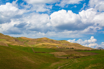 Landscape with pastures and wheat fields, Sicily, agriculture in Italy