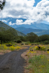 View on dangerous active stratovolcano Mount Etna on east coast of island Sicily, Italy