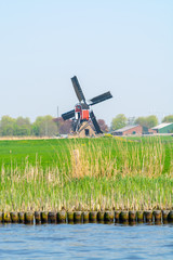 Waterways of North Holland and view on traditional Dutch wind mill and cows on green pasture, spring landscape