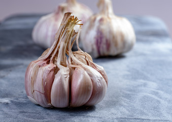 Whole violet garlic bulbs close up on grey marble plank