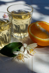 White wine served outside in garden on white table with fresh orange in sun lights