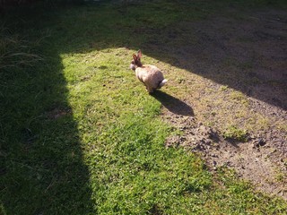 BRB Hopping to Another Dimension