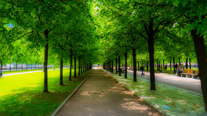 Park on Tsvetnoy Boulevard in summer