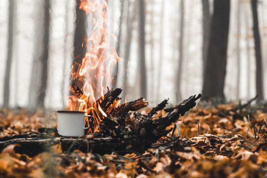 Bonfire in the forest in the evening