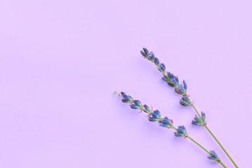 bouquet of violet lilac purple lavender flowers arranged on table background. Top view, flat lay...