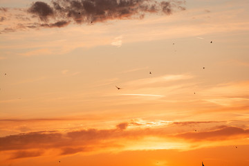 sunset in the sky