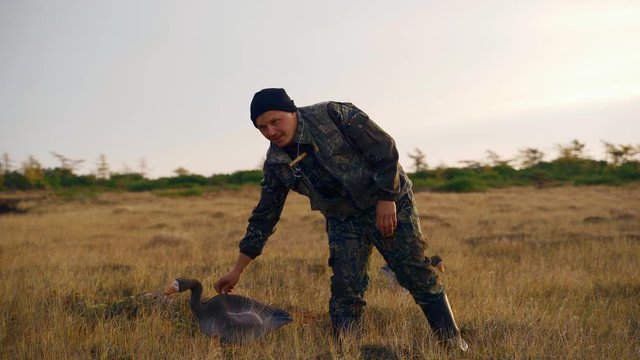 hunter sets up fake ducks for bait