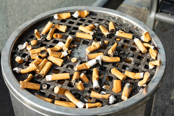 Cigarette butts