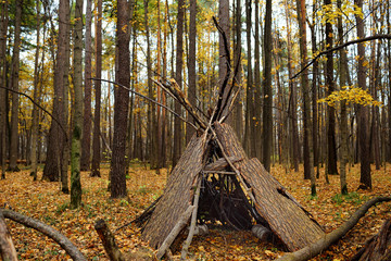 Teepee hut in forest on autumn day. © Maria Sbytova