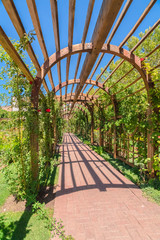 Wedding venue with a wooden arbor and stone brick pathway under sunny blue sky