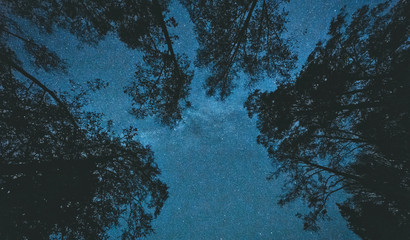 Stunning night photography shots of the milky way, nebulas, stars, and clusters of the night sky.  Bowen Island BC Canada with stunning beaches, forests and clear skies. © Jason