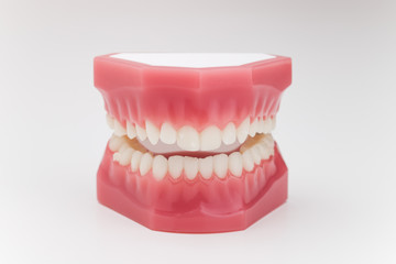 Obraz premium Manequim de Aparelho Arcada Dentária