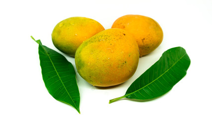 Three small fresh mangoes with leaves on closeup with white background