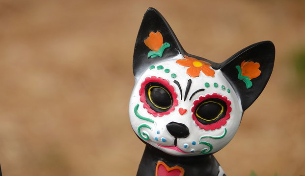 Cat sugar skull at a Day of the Dead display