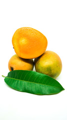 Three small fresh mangoes with leaves on closeup with white background
