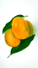 Three small fresh mangoes with leaves on closeup with white background