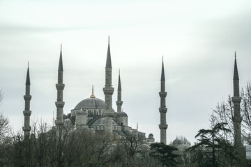 Fototapeta na wymiar Landscape of Sultanahmet camii during a December grey morning in Istanbul, Turkey. Also called Blue Mosque, it is a muslim place of worship, symolb of ottoman architecture and an Istanbul landmark