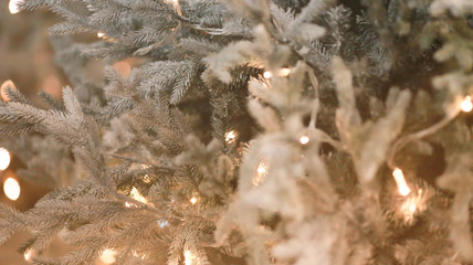 Branches with needles of pine tree with christmas lights on background. Close-up