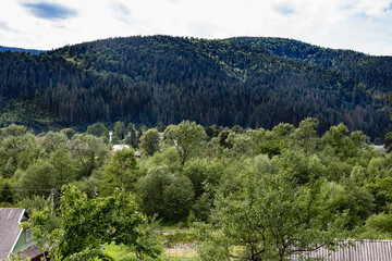 Obraz premium Panorama of Beautiful Mountain Range in Ukraine. Amazing Landscape in Carpathian Mountains.