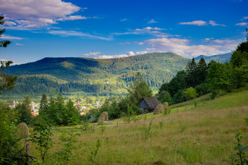 Panorama of Beautiful Mountain Range in Ukraine. Amazing  Landscape in Carpathian Mountains.