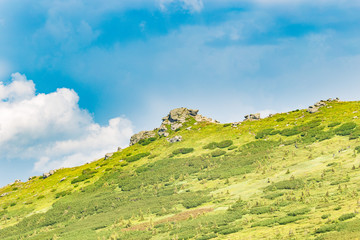 Obraz premium Summer Carpathian mountains in sunny day. Beautiful panorama nature backdrop with cloudy blue sky on background