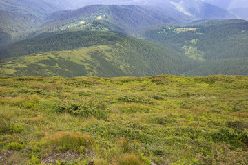 Colorful Mountain Landscape in Carpathians