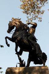 Fototapeta premium Horse statue in Central park New York