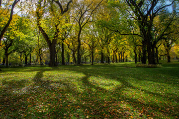 Beautiful park in Beautiful city..Beautiful Central Park in foliage season, New York City..