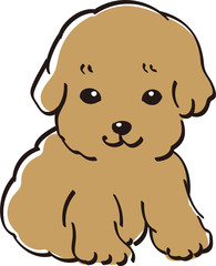 プードル　カラー　かわいい　子犬　人気　犬