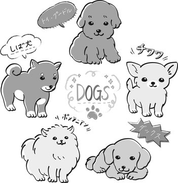 Pomeranian Line Art の画像 359 件の Stock 写真 ベクターおよびビデオ Adobe Stock