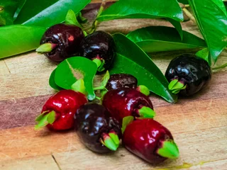 Foto op Plexiglas Beautiful fruits of brazilian cherry, southern cherry © Murilo