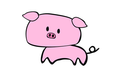 pig on white background