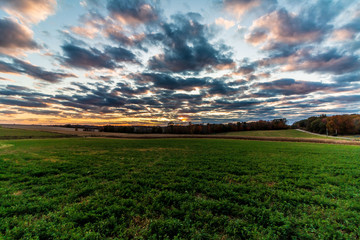 sunset over field