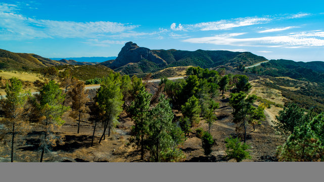  California Pacific Forest Aerial- Angeles National Forest Post Wildfire