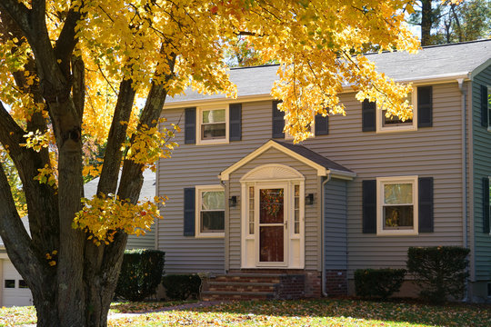 yellow autumn trees in front of houses in residential area