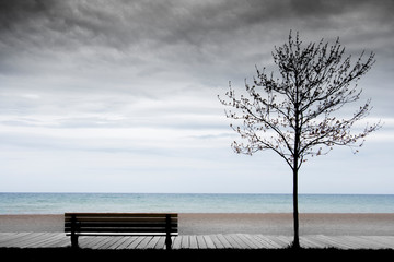 Obraz na płótnie Canvas Silhouette of bench and tree with colour beach and dark sky. Concept of peace of mind, lonely, nobody and calming yourself with nature. Free copy space for text on left
