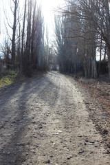 Invierno en Tupungato