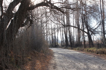 Invierno en Tupungato