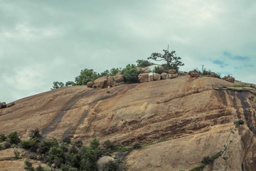 tree in mountains