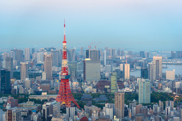 The most beautiful Viewpoint Tokyo tower at sunset in tokyo city ,japan.