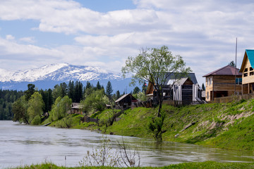 forest, river, village