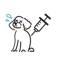 注射　犬　嫌がる　トイプードル