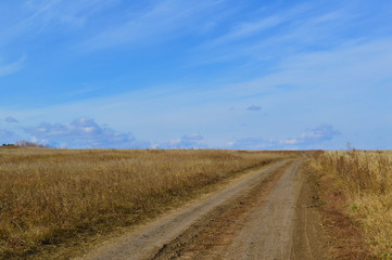 Naklejka premium road in the field