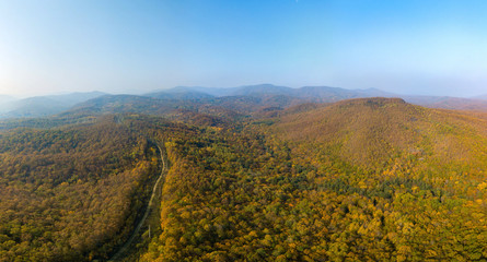 Fototapeta premium country forest road surrounded by a yellow-orange autumn forest in the mountains of the Western Caucasus (South of Russia) on a foggy morning of an autumn day