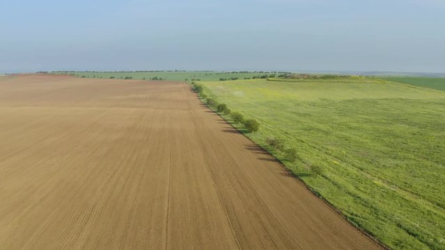 Cultivated and green meadow. Rural scene. Aerial view vrom abowe