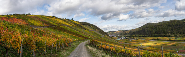 Naklejka premium Indian summer on the red wine trail in the Ahr valley