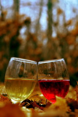 Pair of glass wine glasses with white red wine drink with reflection of landscape in liquid between autumn fallen leaves stand behind each other on the dark blurred autumn background. Vertical frame